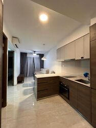 The Florence Residences (D19), Apartment #455105401